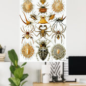 Poster Ernst Haeckel ~ Arachnida (Bureau à domicile)