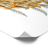 Poster Ernst Haeckel ~ Arachnida (Coin)