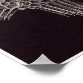 Poster Ernst Haeckel Art Imprimer : Acanthophracta (Coin)