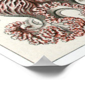 Poster Ernst Haeckel Art Imprimer : Anthomedusae (Coin)