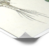 Poster Ernst Haeckel Art Imprimer : Copepoda (Coin)