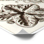 Poster Ernst Haeckel Art Imprimer : Crinoidea (Coin)