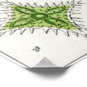 Poster Ernst Haeckel Art Imprimer : Desmidiea (Coin)