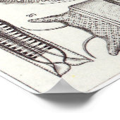 Poster Ernst Haeckel Art Imprimer : Diatomea (Coin)