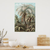 Poster Ernst Haeckel Art Imprimer : Filicinae (Cuisine)