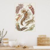 Poster Ernst Haeckel Art Imprimer : Nudibranchia (Cuisine)