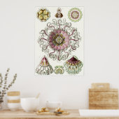 Poster Ernst Haeckel Art Imprimer : Peromedusae (Cuisine)