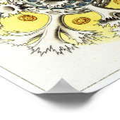 Poster Ernst Haeckel Art Imprimer : Polycyttaria (Coin)