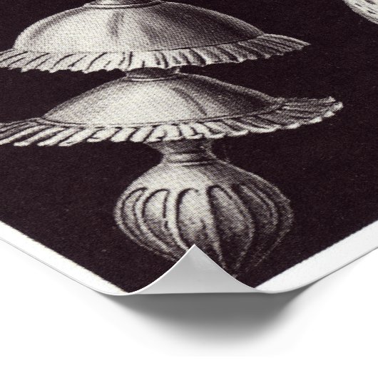 Poster Ernst Haeckel Art Imprimer : Thalamophora (Coin)