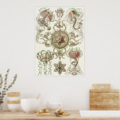 Poster Ernst Haeckel Art Imprimer : Trachomedusae (Cuisine)