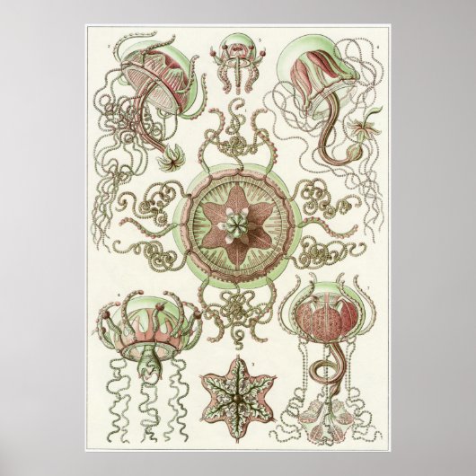 Poster Ernst Haeckel Art Imprimer : Trachomedusae (Devant)
