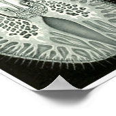 Poster Ernst Haeckel Artformes De La Nature Imprimer (Coin)