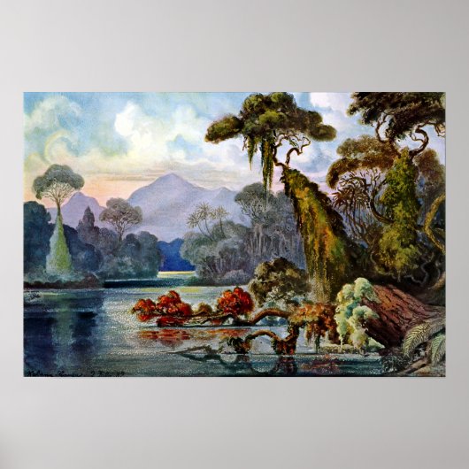 Poster Ernst Haeckel Ceylon Jungle River (Devant)
