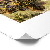 Poster Ernst Haeckel Chelonia (Coin)