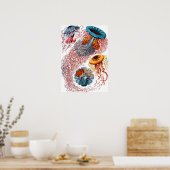 Poster Ernst Haeckel Discomedusae (Cuisine)