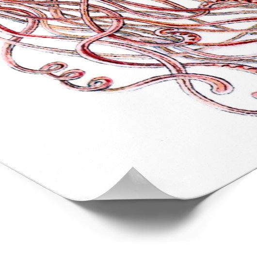 Poster Ernst Haeckel Discomedusae (Coin)