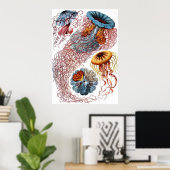 Poster Ernst Haeckel Discomedusae (Bureau à domicile)