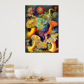 Poster Ernst Haeckel et ses anémones (Cuisine)