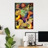 Poster Ernst Haeckel et ses anémones (Bureau à domicile)