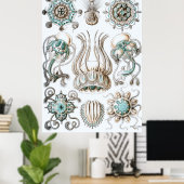 Poster Ernst Haeckel ~ Narcomedusae (Bureau à domicile)