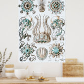 Poster Ernst Haeckel ~ Narcomedusae (Cuisine)