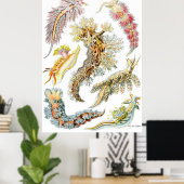 Poster Ernst Haeckel ~ Nudibranchia (Bureau à domicile)