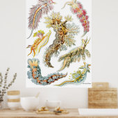 Poster Ernst Haeckel ~ Nudibranchia (Cuisine)