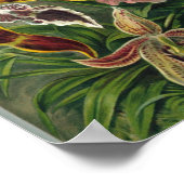 Poster Ernst Haeckel - Orchidae (Coin)