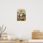 Poster Ernst Haeckel - Orchidées (Cuisine)