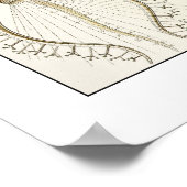 Poster Ernst Haeckel Phaeodaria (Coin)