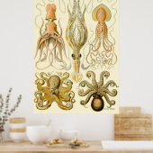 Poster Ernst Haeckel ~ Tafel (Cuisine)