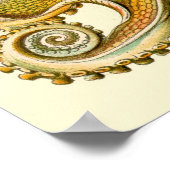 Poster Ernst Haeckel ~ Tafel (Coin)