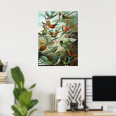 Poster Ernst Haeckel Trochilidae Hummingbird (Thuiskantoor)