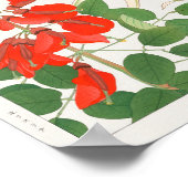Poster Erythrina, Panicum par Tanigami Konan (Coin)