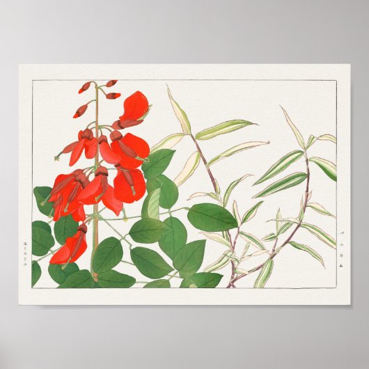 Poster Erythrina, Panicum par Tanigami Konan (Devant)