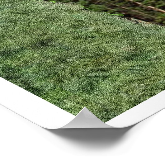 Poster Ésaïe 40:30-31 (Coin)