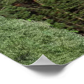 Poster Ésaïe 40:30-31 (Coin)