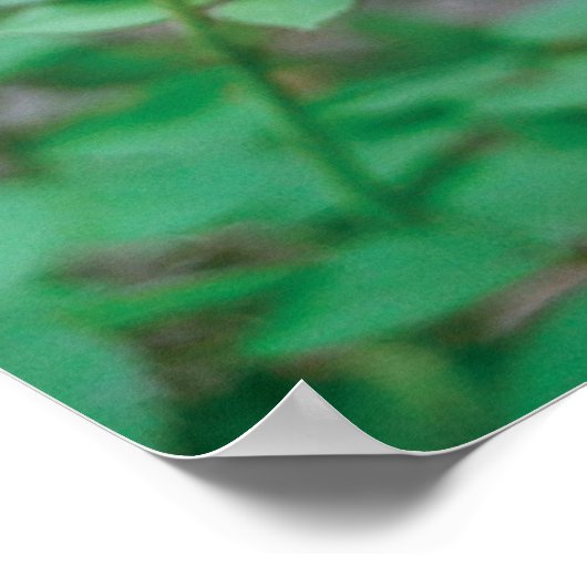 Poster Ésaïe 40:8 (Coin)