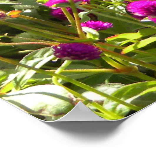 Poster Ésaïe 40:8 (Coin)