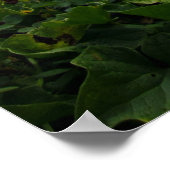 Poster Ésaïe 43:18 Oublie les choses précédentes; ne... (Coin)