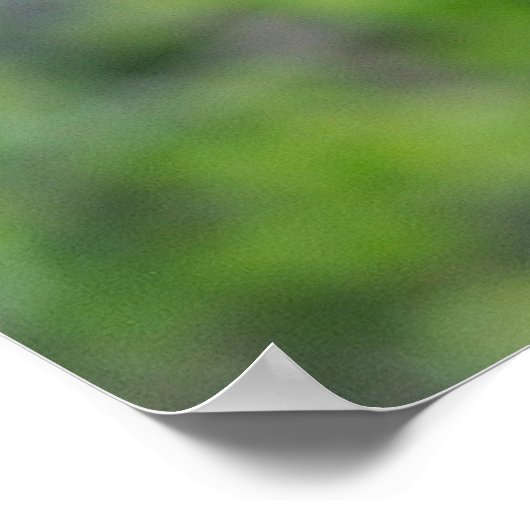 Poster Escalade Bear Cub (Coin)