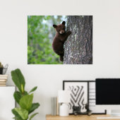 Poster Escalade Bear Cub (Bureau à domicile)
