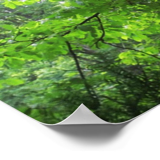 Poster Escalade élevée (Coin)