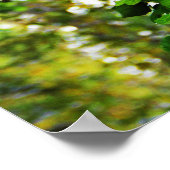 Poster Escalade Ivy (Coin)