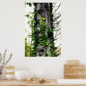 Poster Escalade Ivy (Cuisine)