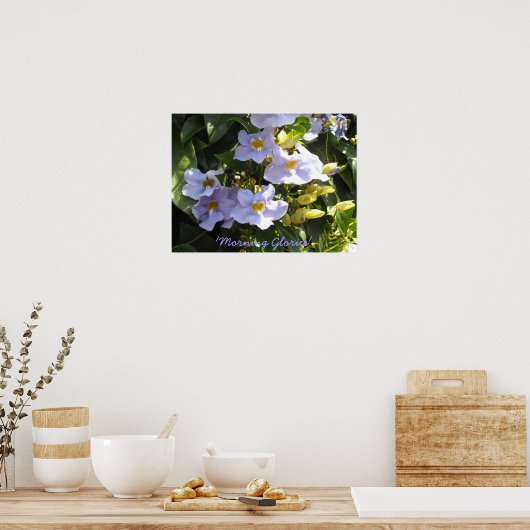 Poster Escalade Matin Glories (Cuisine)