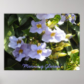 Poster Escalade Matin Glories (Devant)