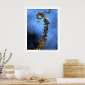 Poster Escalade sociale - Echelle sociale (Cuisine)