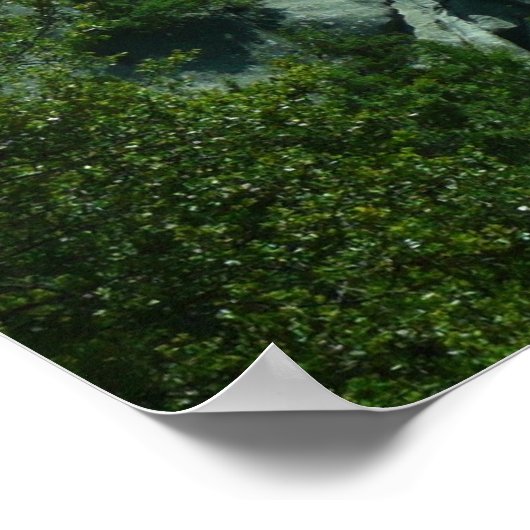 Poster Escaladeurs sur El Capitan (Coin)