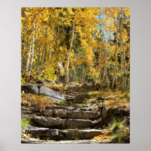 Poster "Escalier à l'automne", tremblement Aspen,